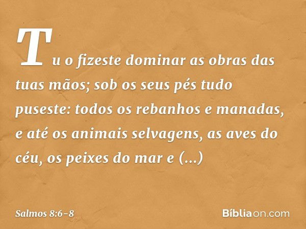 Tu o fizeste dominar
as obras das tuas mãos;
sob os seus pés tudo puseste: todos os rebanhos e manadas,
e até os animais selvagens, as aves do céu, os peixes do