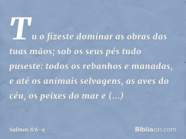 Salmo 8:6-9 - Bíblia