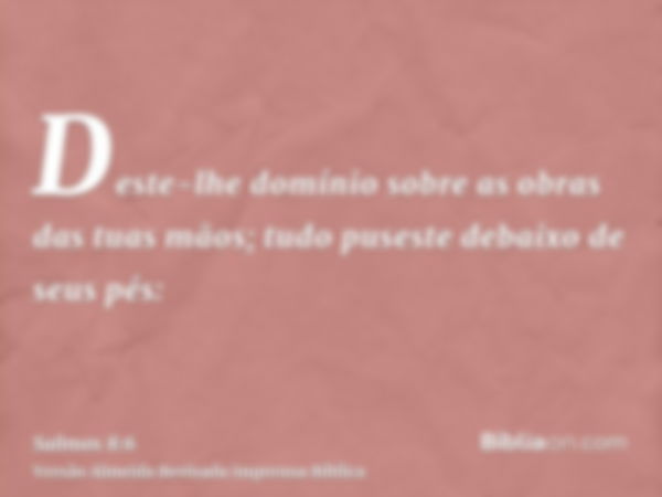 Deste-lhe domínio sobre as obras das tuas mãos; tudo puseste debaixo de seus pés: