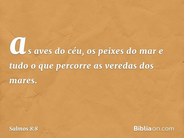 Salmo 8:8 - Bíblia