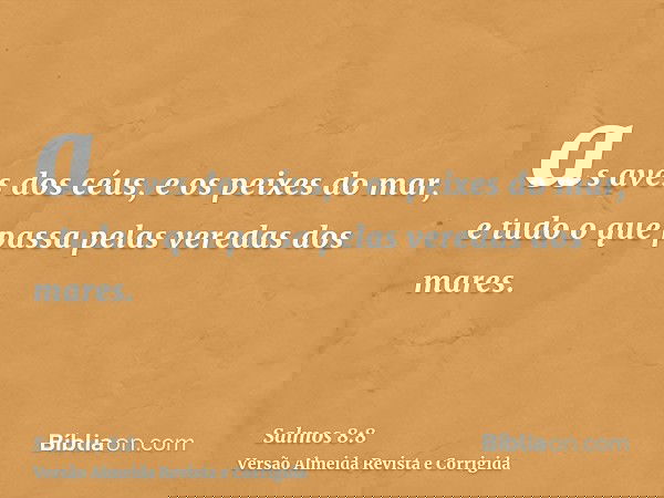 as aves dos céus, e os peixes do mar, e tudo o que passa pelas veredas dos mares.