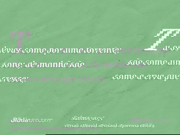 Tu os levas como por uma torrente; são como um sono; de manhã são como a erva que cresce;