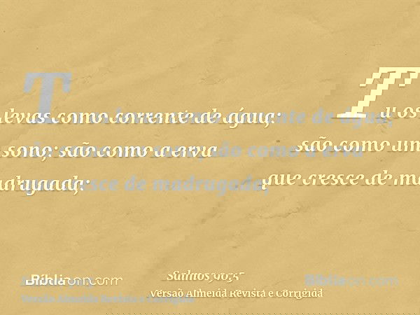 Tu os levas como corrente de água; são como um sono; são como a erva que cresce de madrugada;