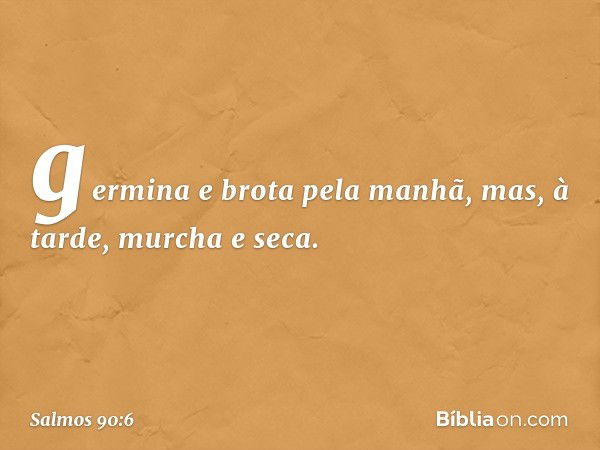 germina e brota pela manhã,
mas, à tarde, murcha e seca. -- Salmo 90:6