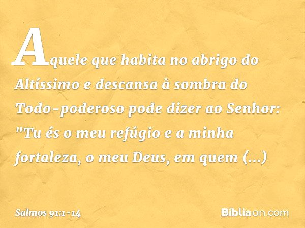 Aquele que habita no abrigo do Altíssimo
e descansa à sombra do Todo-poderoso pode dizer ao Senhor:
"Tu és o meu refúgio e a minha fortaleza,
o meu Deus, em que