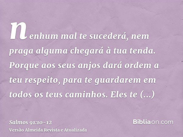 nenhum mal te sucederá, nem praga alguma chegará à tua tenda.Porque aos seus anjos dará ordem a teu respeito, para te guardarem em todos os teus caminhos.Eles t