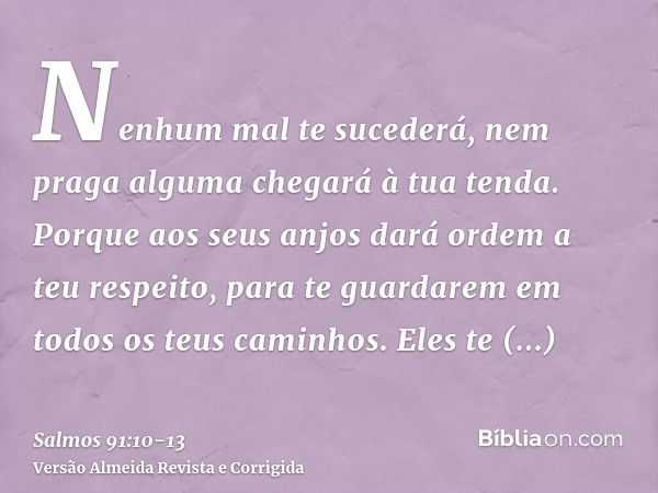 Nenhum mal te sucederá, nem praga alguma chegará à tua tenda.Porque aos seus anjos dará ordem a teu respeito, para te guardarem em todos os teus caminhos.Eles t