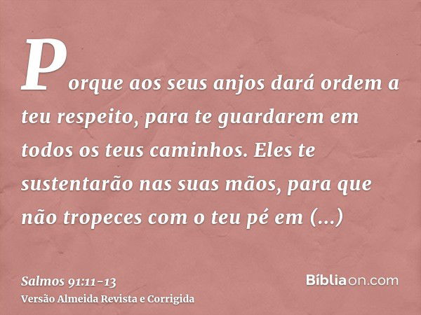 Porque aos seus anjos dará ordem a teu respeito, para te guardarem em todos os teus caminhos.Eles te sustentarão nas suas mãos, para que não tropeces com o teu 