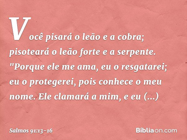 Você pisará o leão e a cobra;
pisoteará o leão forte e a serpente. "Porque ele me ama, eu o resgatarei;
eu o protegerei, pois conhece o meu nome. Ele clamará a 