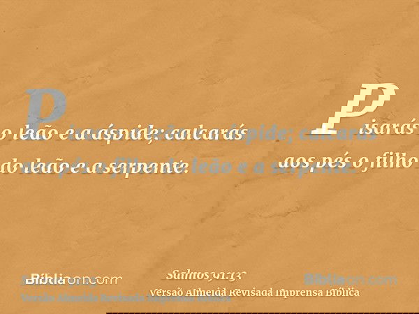 Pisarás o leão e a áspide; calcarás aos pés o filho do leão e a serpente.