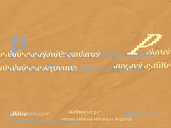 Pisarás o leão e a áspide; calcarás aos pés o filho do leão e a serpente.