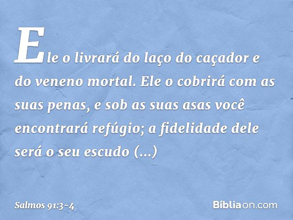 Ele o livrará do laço do caçador
e do veneno mortal. Ele o cobrirá com as suas penas,
e sob as suas asas você encontrará refúgio;
a fidelidade dele será o seu e