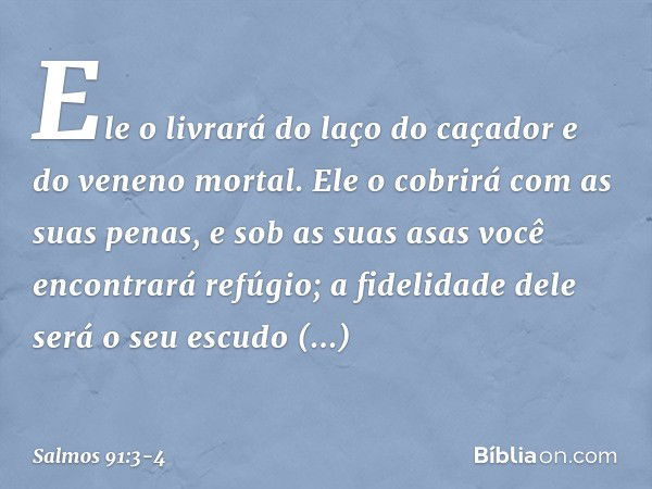 Ele o livrará do laço do caçador
e do veneno mortal. Ele o cobrirá com as suas penas,
e sob as suas asas você encontrará refúgio;
a fidelidade dele será o seu e