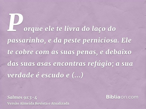 Porque ele te livra do laço do passarinho, e da peste perniciosa.Ele te cobre com as suas penas, e debaixo das suas asas encontras refúgio; a sua verdade é escu