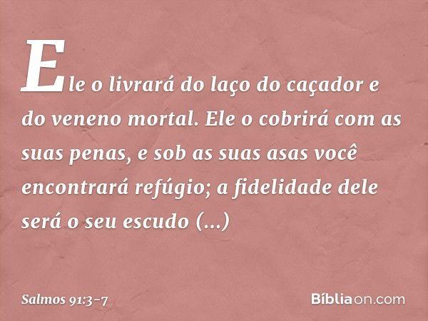 Ele o livrará do laço do caçador
e do veneno mortal. Ele o cobrirá com as suas penas,
e sob as suas asas você encontrará refúgio;
a fidelidade dele será o seu e