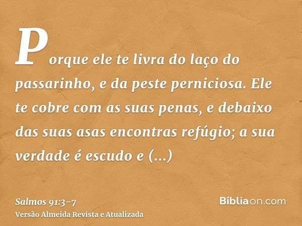 Porque ele te livra do laço do passarinho, e da peste perniciosa.Ele te cobre com as suas penas, e debaixo das suas asas encontras refúgio; a sua verdade é escu