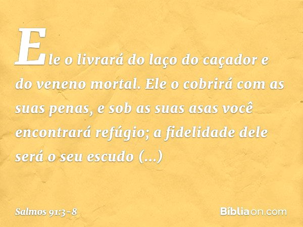 Ele o livrará do laço do caçador
e do veneno mortal. Ele o cobrirá com as suas penas,
e sob as suas asas você encontrará refúgio;
a fidelidade dele será o seu e