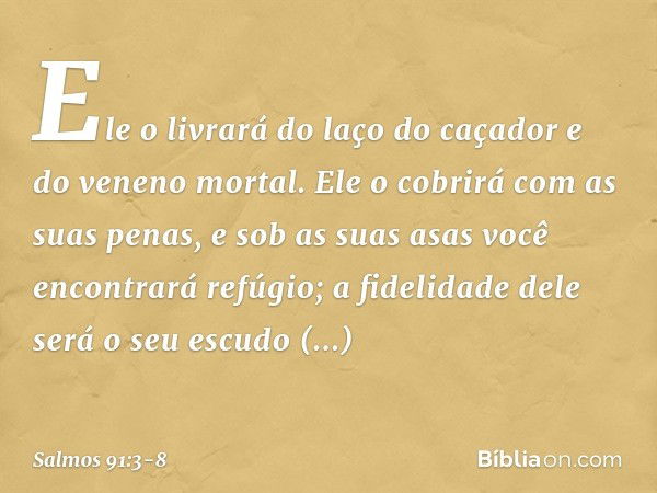 Ele o livrará do laço do caçador
e do veneno mortal. Ele o cobrirá com as suas penas,
e sob as suas asas você encontrará refúgio;
a fidelidade dele será o seu e