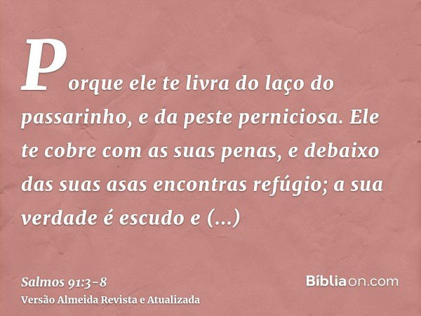 Porque ele te livra do laço do passarinho, e da peste perniciosa.Ele te cobre com as suas penas, e debaixo das suas asas encontras refúgio; a sua verdade é escu