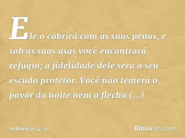 Ele o cobrirá com as suas penas,
e sob as suas asas você encontrará refúgio;
a fidelidade dele será o seu escudo protetor. Você não temerá o pavor da noite
nem 