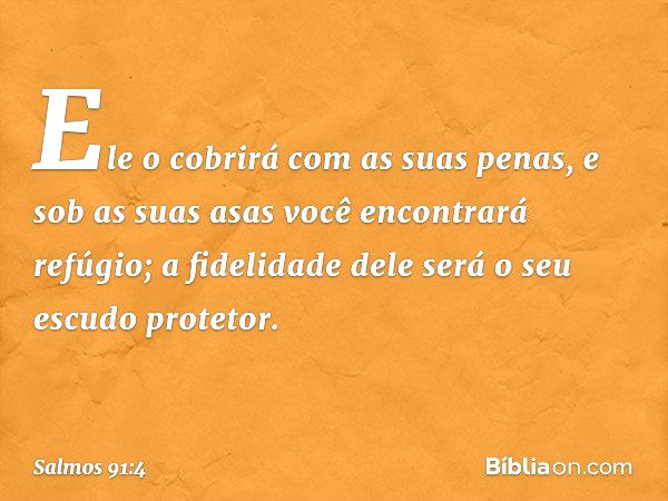 Ele o cobrirá com as suas penas,
e sob as suas asas você encontrará refúgio;
a fidelidade dele será o seu escudo protetor. -- Salmo 91:4