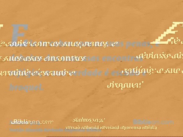Ele te cobre com as suas penas, e debaixo das suas asas encontras refúgio; a sua verdade é escudo e broquel.