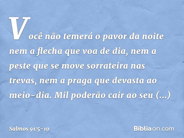 Você não temerá o pavor da noite
nem a flecha que voa de dia, nem a peste que se move sorrateira
nas trevas,
nem a praga que devasta ao meio-dia. Mil poderão ca