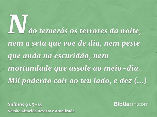 Não temerás os terrores da noite, nem a seta que voe de dia,nem peste que anda na escuridão, nem mortandade que assole ao meio-dia.Mil poderão cair ao teu lado,