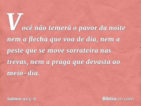 Você não temerá o pavor da noite
nem a flecha que voa de dia, nem a peste que se move sorrateira
nas trevas,
nem a praga que devasta ao meio-dia. -- Salmo 91:5-