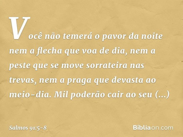 Você não temerá o pavor da noite
nem a flecha que voa de dia, nem a peste que se move sorrateira
nas trevas,
nem a praga que devasta ao meio-dia. Mil poderão ca