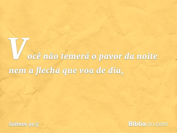 Você não temerá o pavor da noite
nem a flecha que voa de dia, -- Salmo 91:5