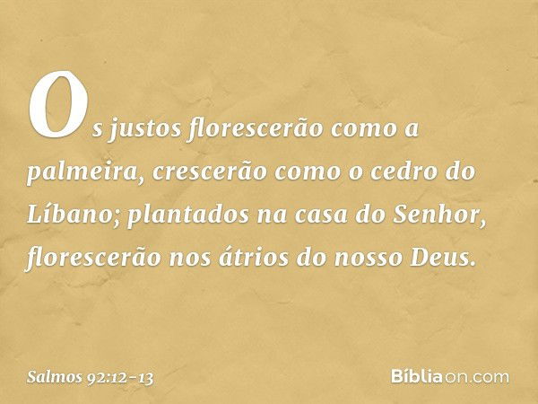 Os justos florescerão como a palmeira,
crescerão como o cedro do Líbano; plantados na casa do Senhor,
florescerão nos átrios do nosso Deus. -- Salmo 92:12-13