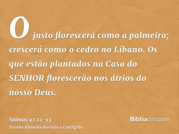 O justo florescerá como a palmeira; crescerá como o cedro no Líbano.Os que estão plantados na Casa do SENHOR florescerão nos átrios do nosso Deus.