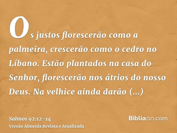 Os justos florescerão como a palmeira, crescerão como o cedro no Líbano.Estão plantados na casa do Senhor, florescerão nos átrios do nosso Deus.Na velhice ainda