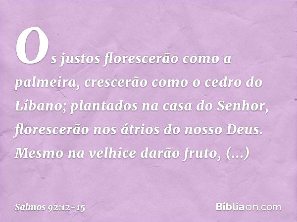 Os justos florescerão como a palmeira,
crescerão como o cedro do Líbano; plantados na casa do Senhor,
florescerão nos átrios do nosso Deus. Mesmo na velhice dar