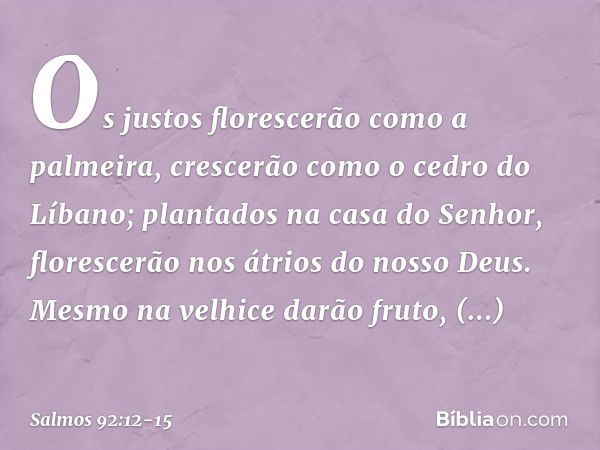 Os justos florescerão como a palmeira,
crescerão como o cedro do Líbano; plantados na casa do Senhor,
florescerão nos átrios do nosso Deus. Mesmo na velhice dar