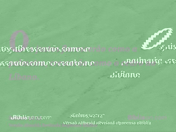 Os justos florescerão como a palmeira, crescerão como o cedro no Líbano.