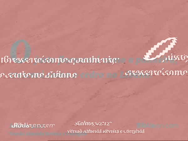 O justo florescerá como a palmeira; crescerá como o cedro no Líbano.