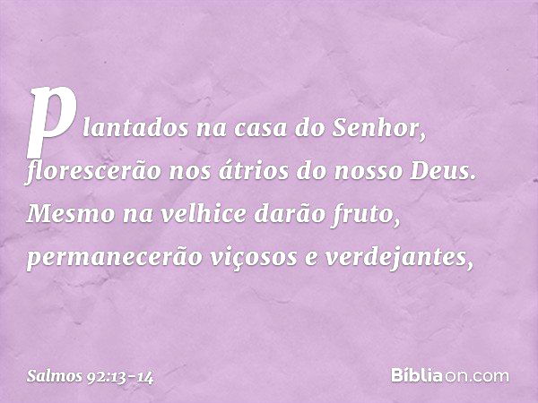 plantados na casa do Senhor,
florescerão nos átrios do nosso Deus. Mesmo na velhice darão fruto,
permanecerão viçosos e verdejantes, -- Salmo 92:13-14