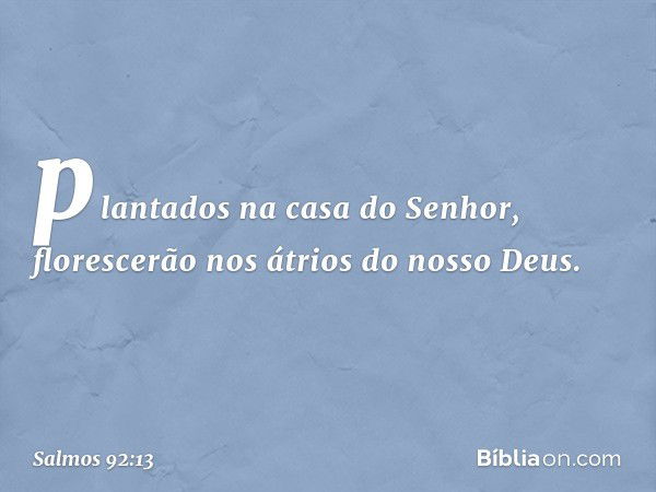 plantados na casa do Senhor,
florescerão nos átrios do nosso Deus. -- Salmo 92:13