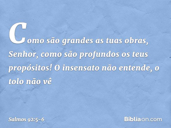 Como são grandes as tuas obras, Senhor,
como são profundos os teus propósitos! O insensato não entende, o tolo não vê -- Salmo 92:5-6