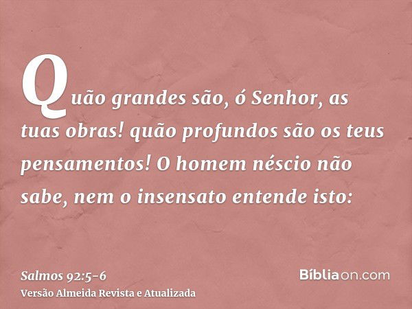 Quão grandes são, ó Senhor, as tuas obras! quão profundos são os teus pensamentos!O homem néscio não sabe, nem o insensato entende isto: