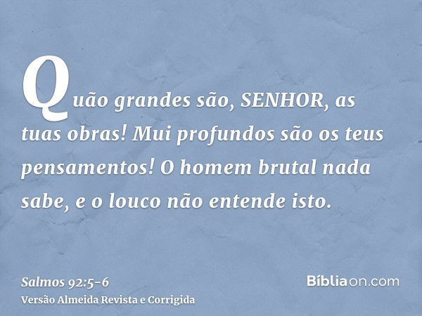 Quão grandes são, SENHOR, as tuas obras! Mui profundos são os teus pensamentos!O homem brutal nada sabe, e o louco não entende isto.