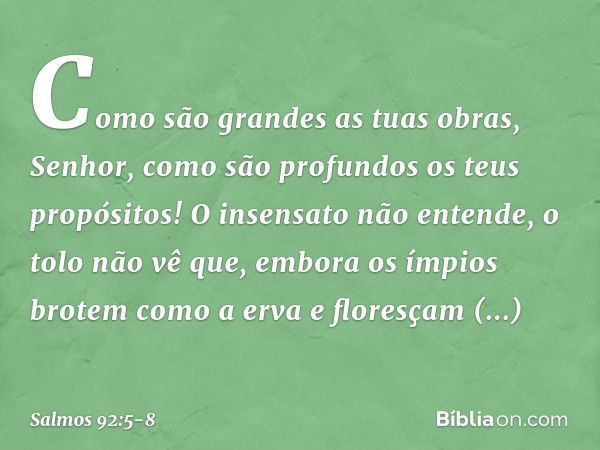 Como são grandes as tuas obras, Senhor,
como são profundos os teus propósitos! O insensato não entende, o tolo não vê que, embora os ímpios brotem como a erva
e