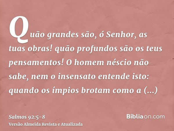 Quão grandes são, ó Senhor, as tuas obras! quão profundos são os teus pensamentos!O homem néscio não sabe, nem o insensato entende isto:quando os ímpios brotam 