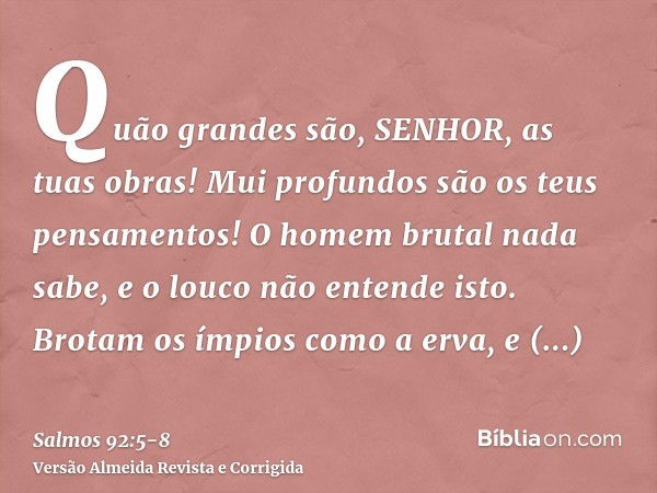 Quão grandes são, SENHOR, as tuas obras! Mui profundos são os teus pensamentos!O homem brutal nada sabe, e o louco não entende isto.Brotam os ímpios como a erva