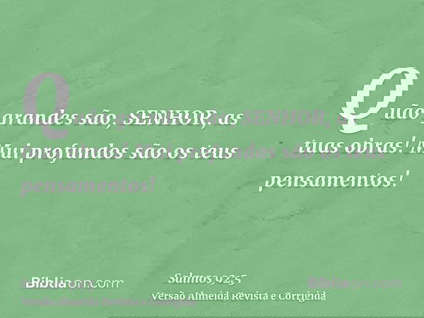 Quão grandes são, SENHOR, as tuas obras! Mui profundos são os teus pensamentos!