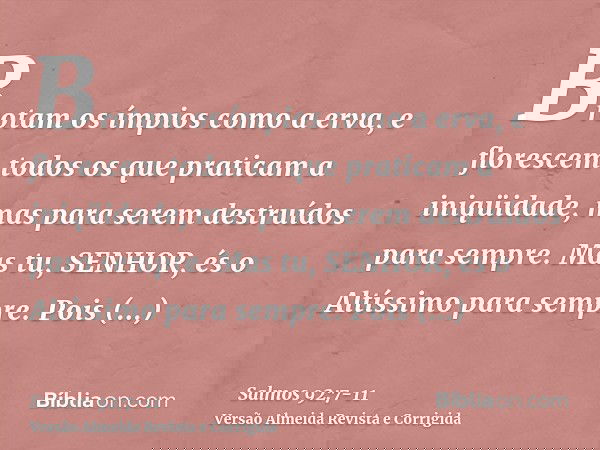 Brotam os ímpios como a erva, e florescem todos os que praticam a iniqüidade, mas para serem destruídos para sempre.Mas tu, SENHOR, és o Altíssimo para sempre.P
