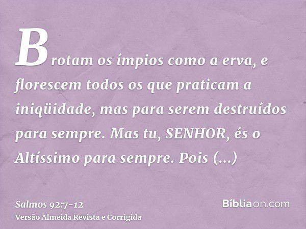 Brotam os ímpios como a erva, e florescem todos os que praticam a iniqüidade, mas para serem destruídos para sempre.Mas tu, SENHOR, és o Altíssimo para sempre.P