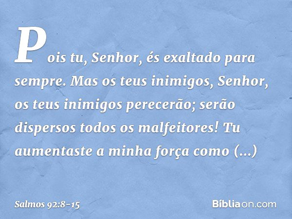 Pois tu, Senhor, és exaltado para sempre. Mas os teus inimigos, Senhor,
os teus inimigos perecerão;
serão dispersos todos os malfeitores! Tu aumentaste a minha 